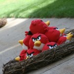 Angry Birds, ready to defend!